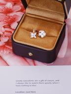 [Clover Jewelry]星と太陽 ピンクゴールドMOP スタッドピアス
