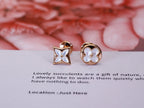 [Clover Jewelry]星と太陽 ピンクゴールドMOP スタッドピアス
